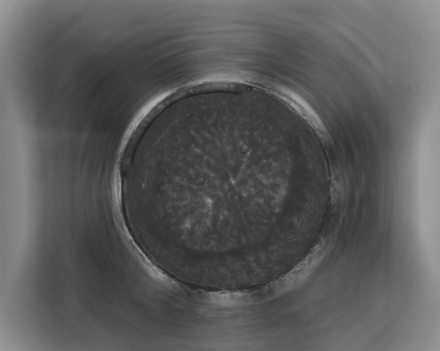 X0000113060804200908281133