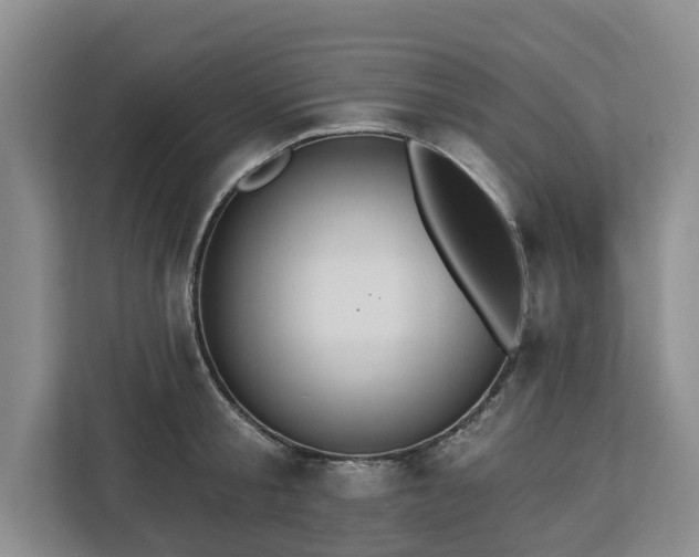 X0000113060805200908281133