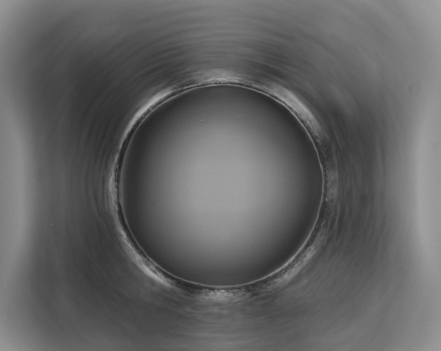 X0000113060806200908281133