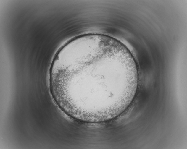 X0000113060807200908281133