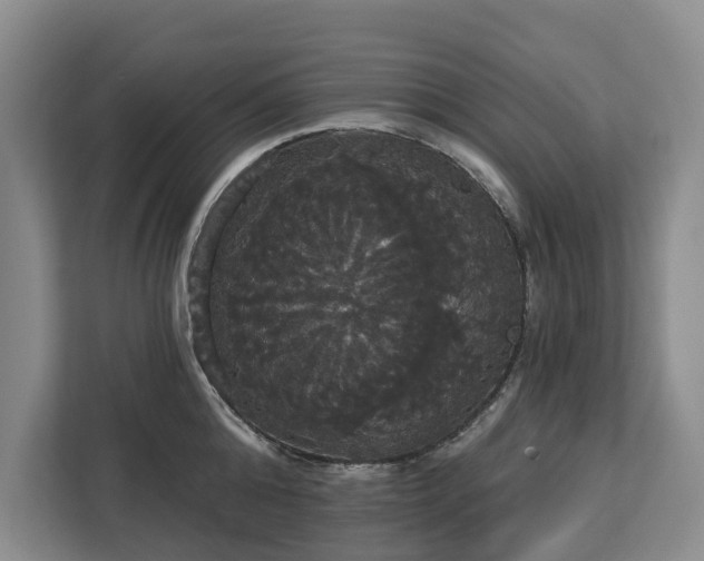 X0000113060808200908281133