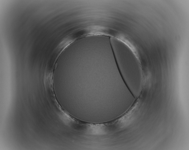 X0000113060809200908281133