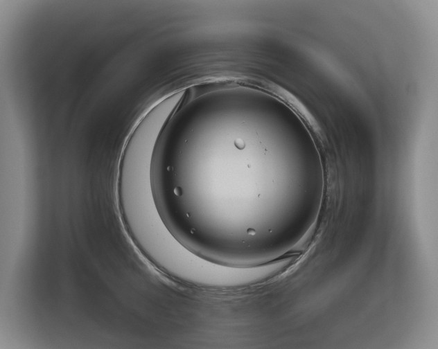 X0000113060810200908281133