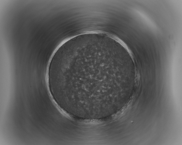 X0000113060811200908281133