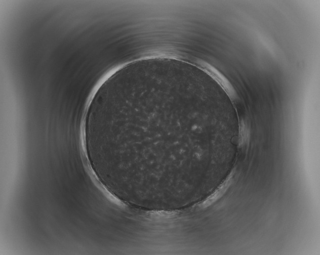 X0000113060812200908281133