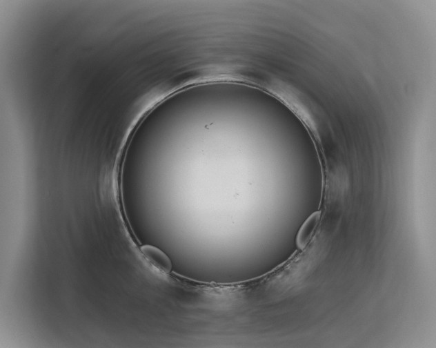 X0000113060813200908281133