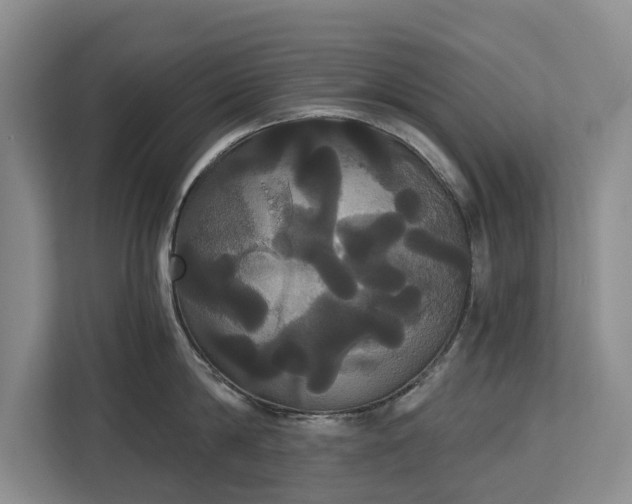 X0000113060814200908281133