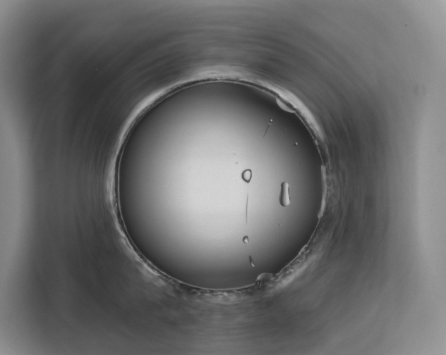 X0000113060815200908281133
