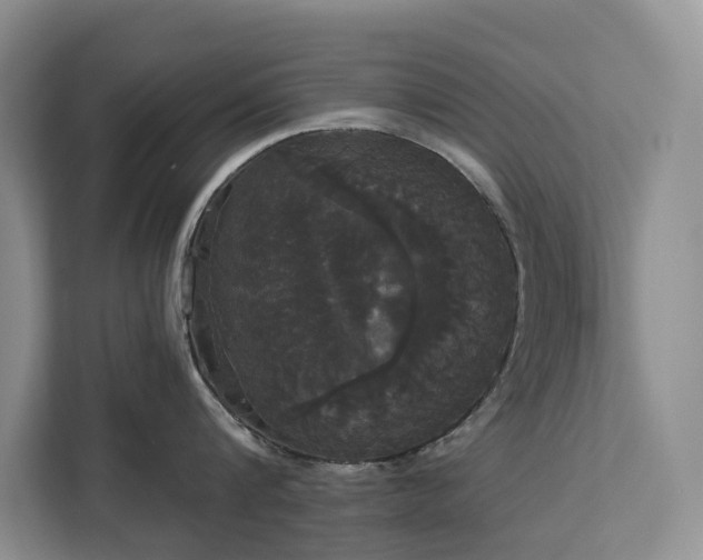 X0000113060816200908281133
