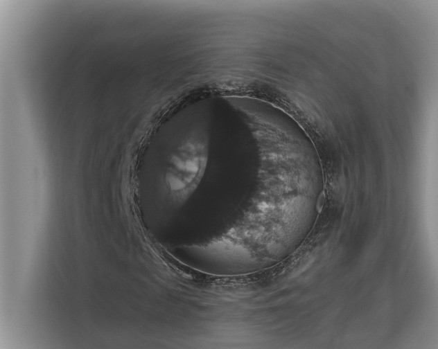 X0000113060817200908281132