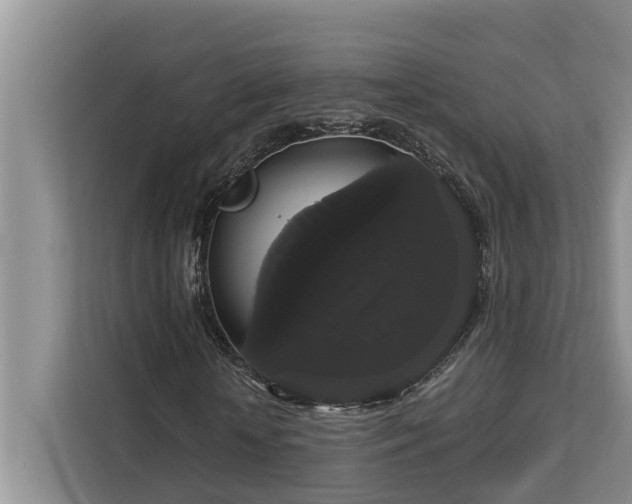 X0000113060818200908281132