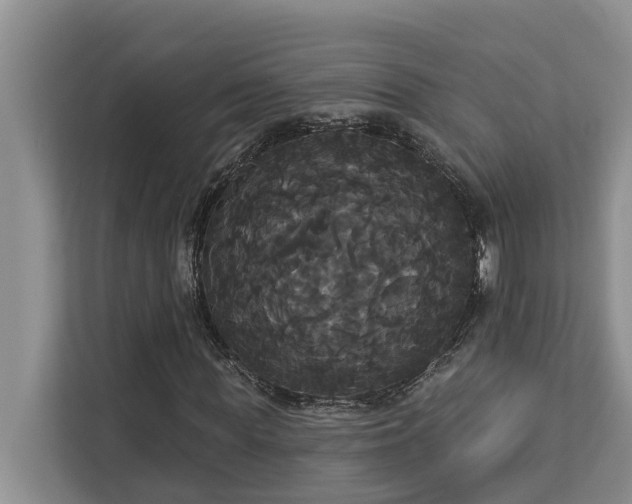 X0000113060819200908281132