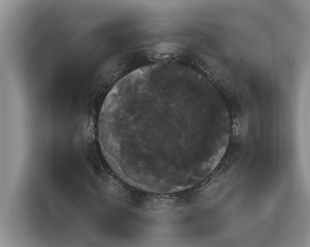 X0000113060820200908281132