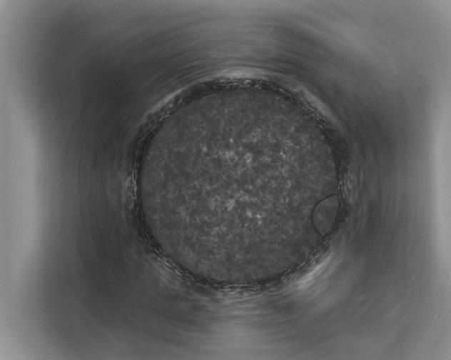 X0000113060821200908281132