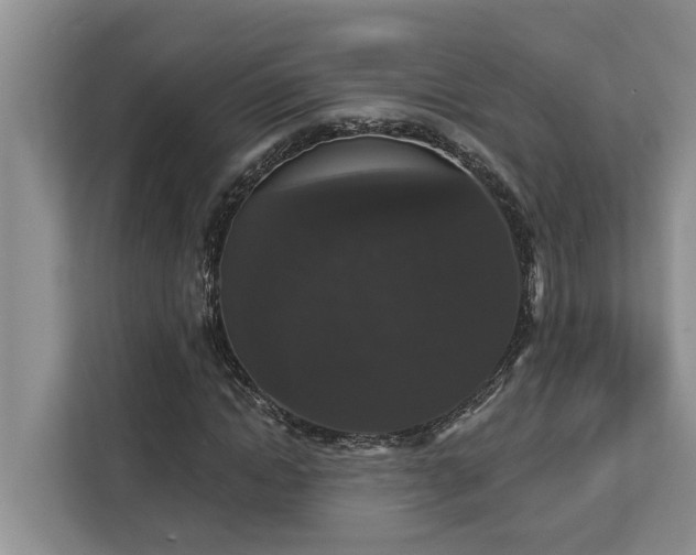 X0000113060822200908281132