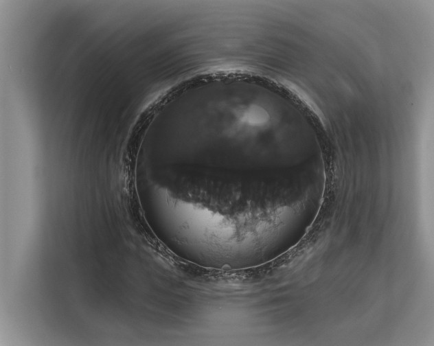 X0000113060823200908281132