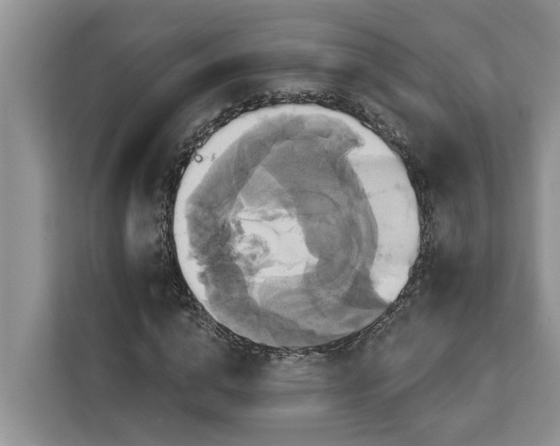 X0000113060824200908281132