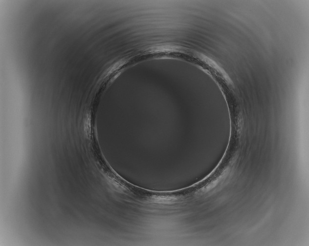 X0000113060825200908281132