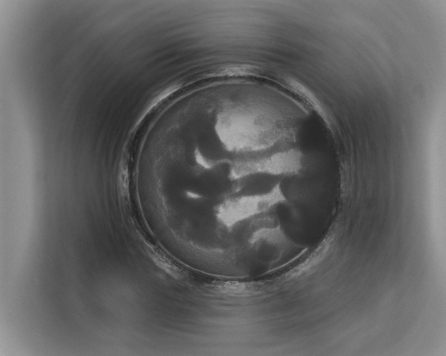 X0000113060827200908281132