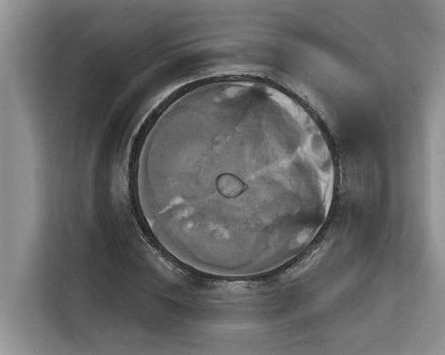 X0000113060828200908281132