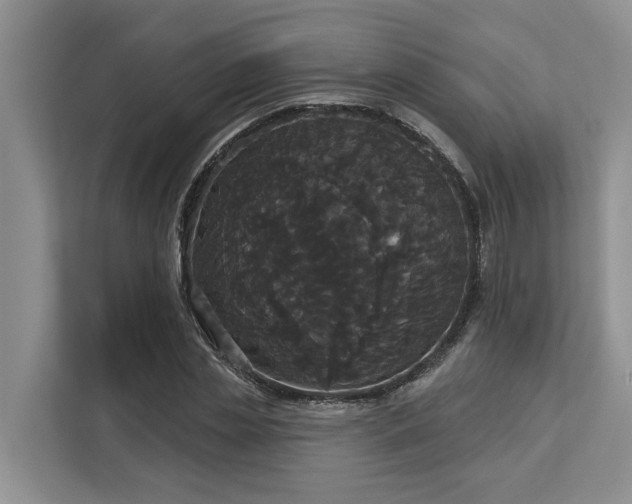 X0000113060829200908281132