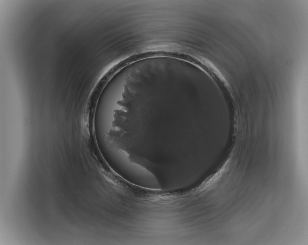 X0000113060830200908281132