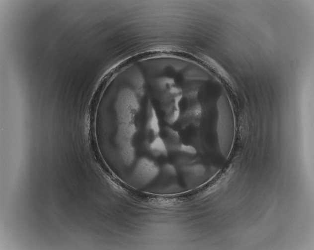 X0000113060831200908281132