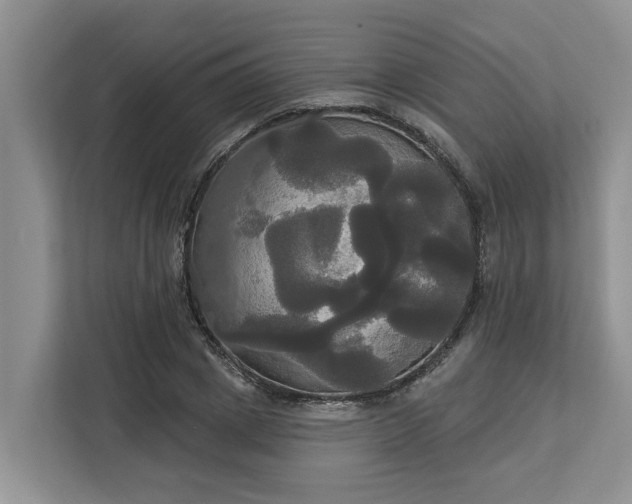 X0000113060833200908281132