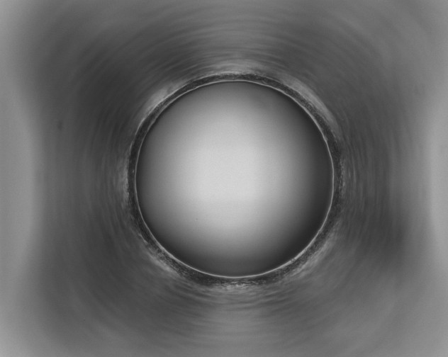 X0000113060834200908281132