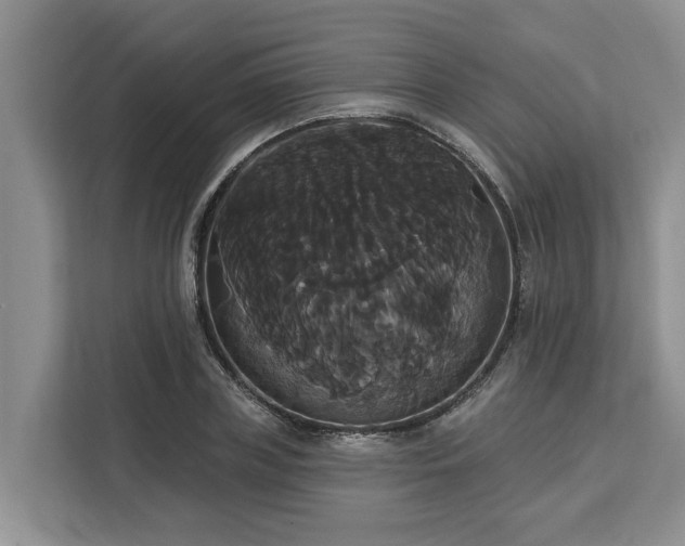 X0000113060835200908281132