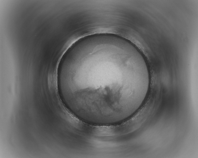 X0000113060836200908281132