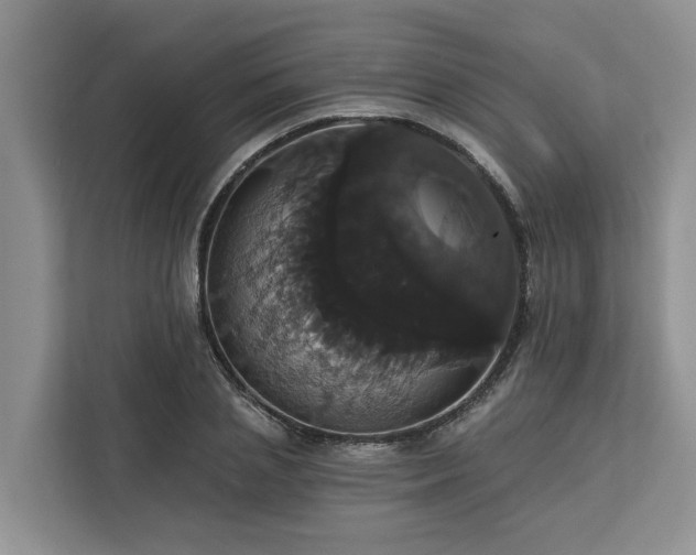 X0000113060837200908281132