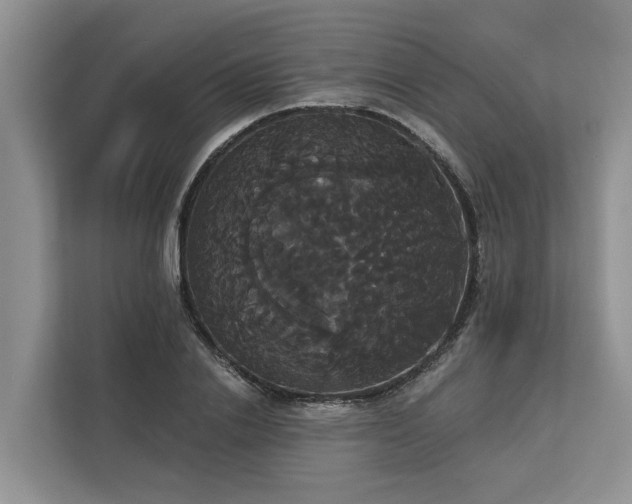X0000113060838200908281132