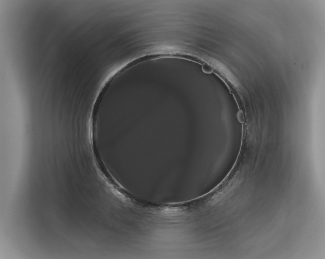 X0000113060839200908281132