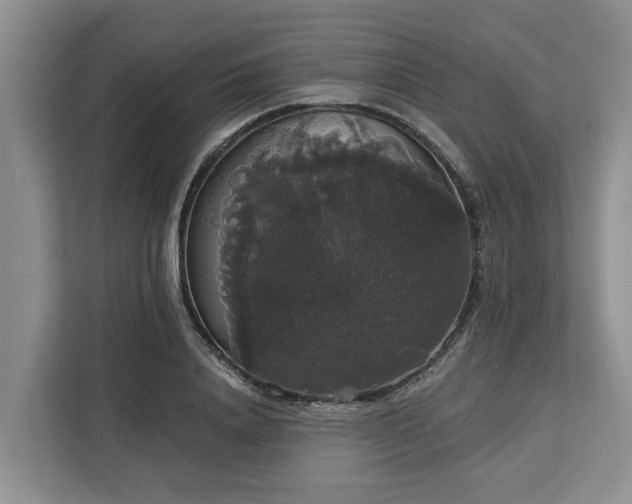 X0000113060840200908281132
