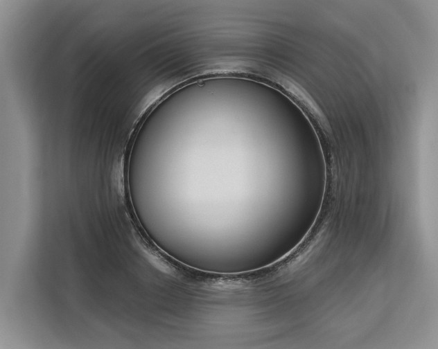 X0000113060842200908281132