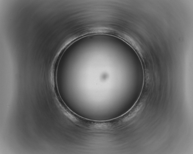 X0000113060843200908281133