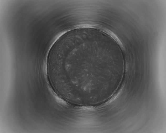 X0000113060844200908281133