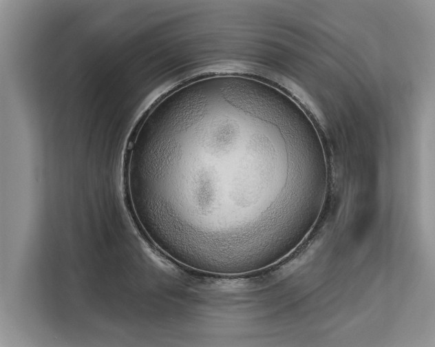 X0000113060845200908281133