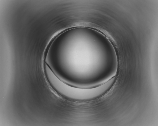 X0000113060846200908281133