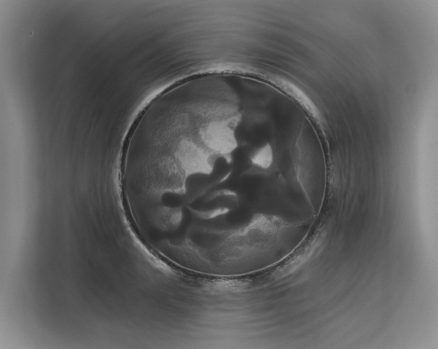 X0000113060847200908281133