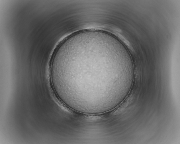 X0000113060848200908281133