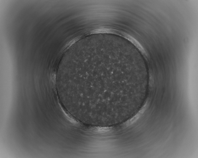 X0000113060849200908281133