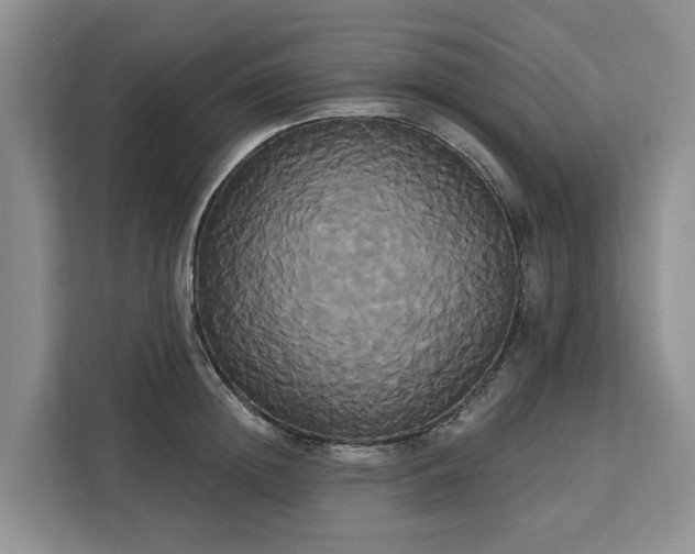 X0000113060852200908281133
