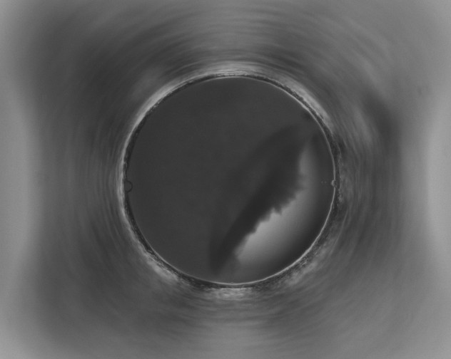 X0000113060853200908281133