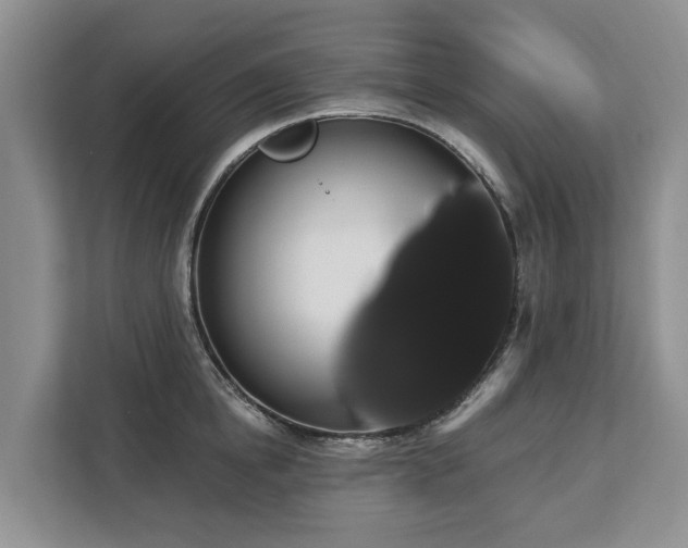 X0000113060854200908281133