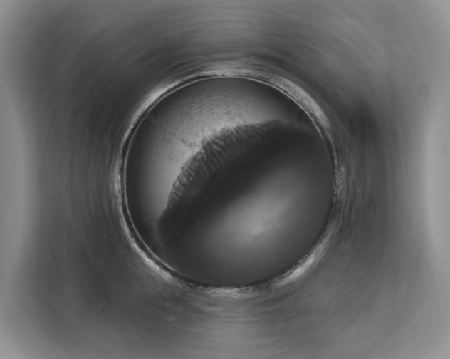 X0000113060855200908281133