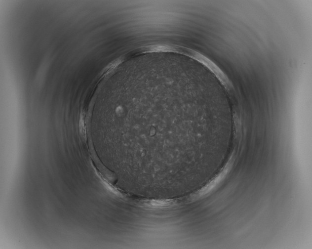 X0000113060857200908281133