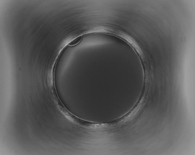 X0000113060858200908281133