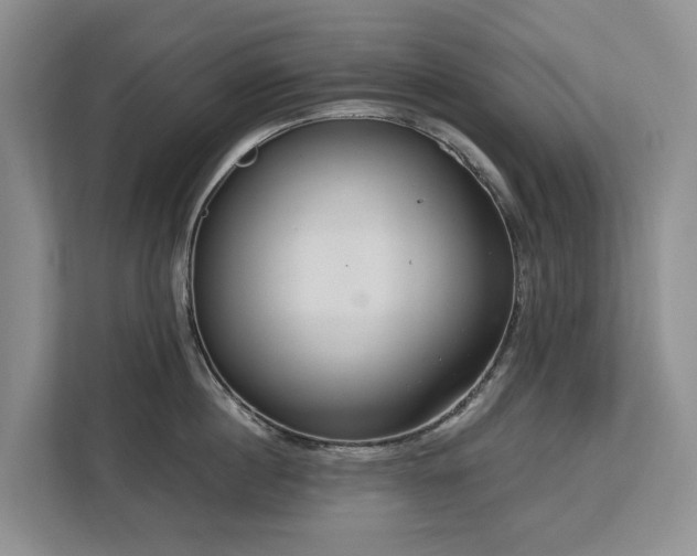 X0000113060860200908281133